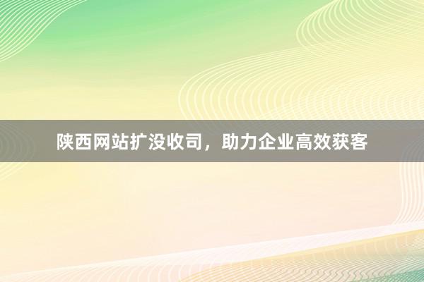 陕西网站扩没收司，助力企业高效获客